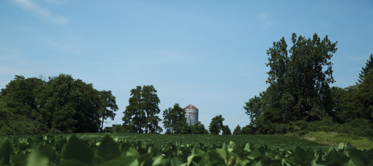 Farm Landscape